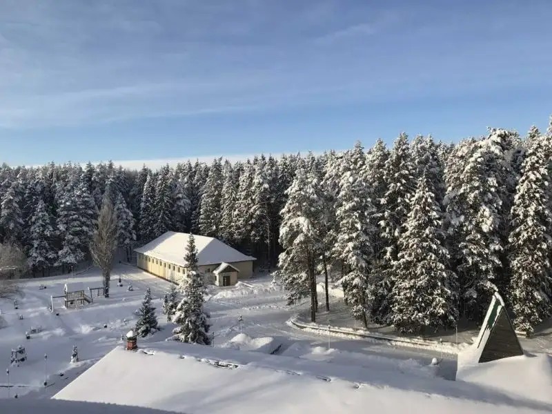 ЛЕСНАЯ СКАЗКА