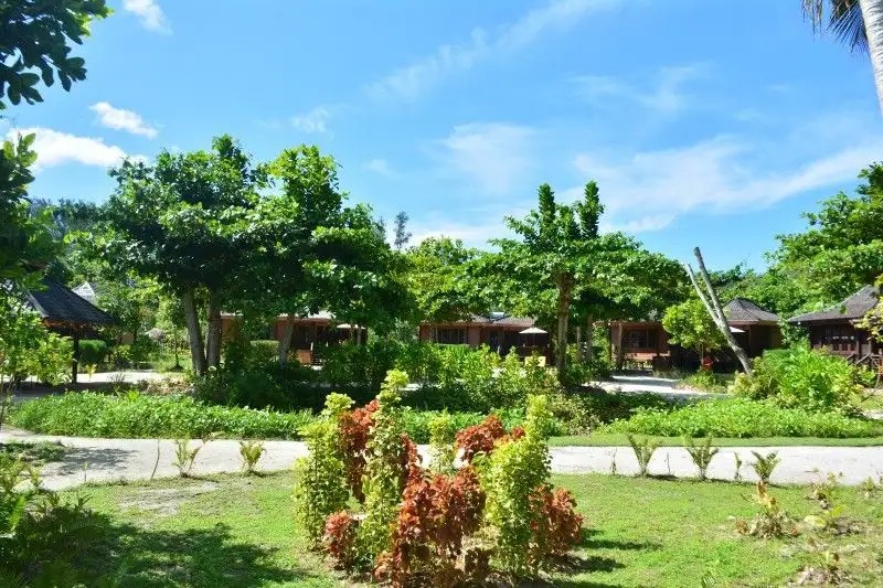 HELICONIA GROVE