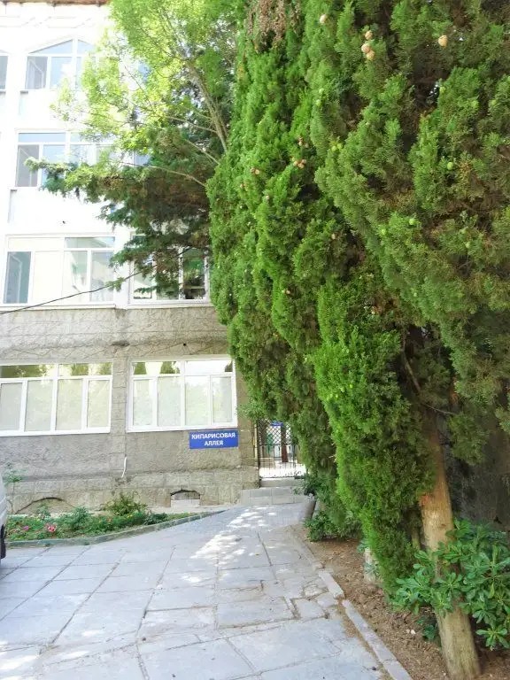 КИПАРИСОВАЯ АЛЛЕЯ
