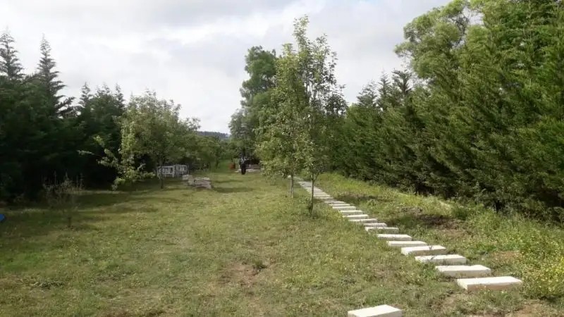 VIRA CREEK HOUSE & VIRA GARDEN HOUSE BUNGALOW