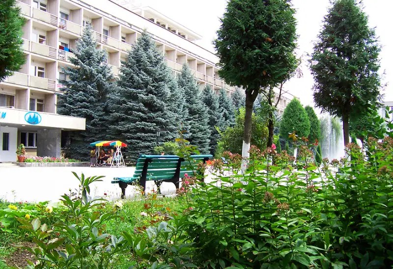ГОЛУБЫЕ ЕЛИ