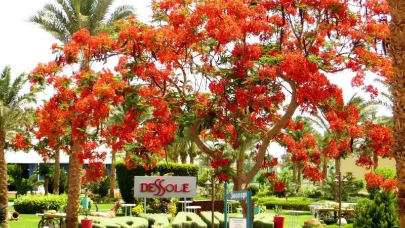 ROYAL ROJANA RESORT