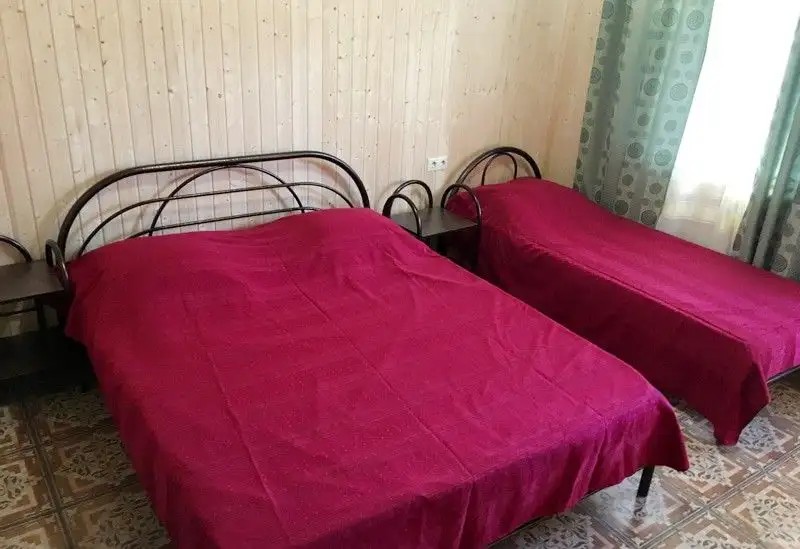 АРРИВА ЦАНДРИПШ