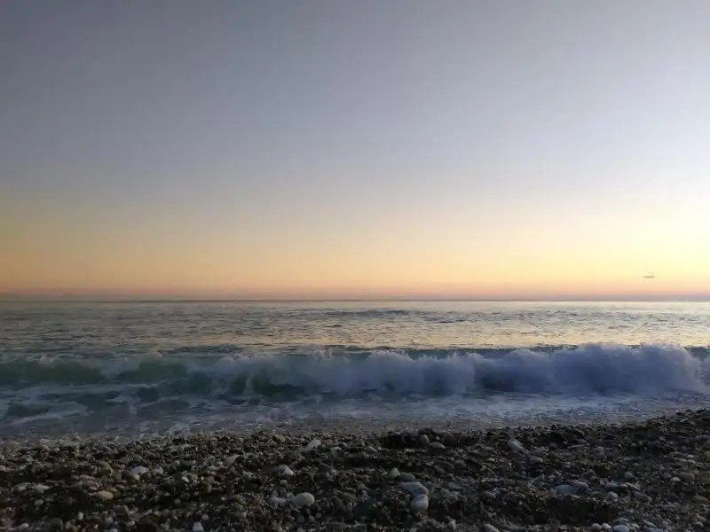 НАРТАА