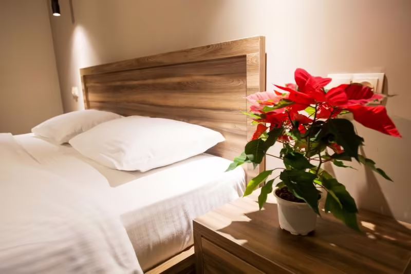 EZO HOTEL
