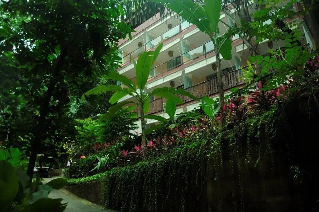JUNGLE RETREAT HOTEL BY KUPU KUPU BARONG
