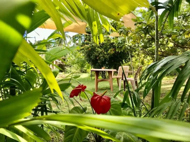RANDI GUEST HOUSE