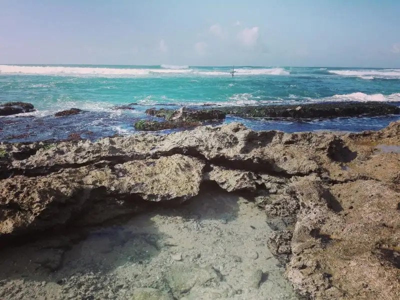 PALM VILLA MIRISSA