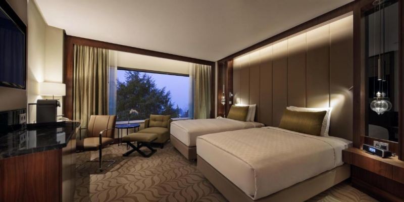executive room park view