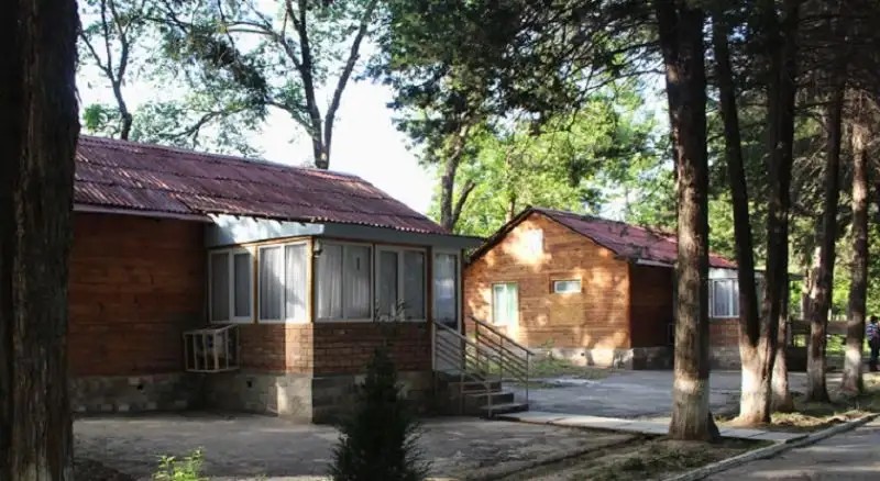 BOTANIKA