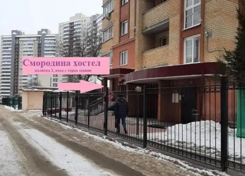 СМОРОДИНА-НСК