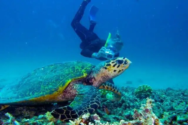 GILI AIR