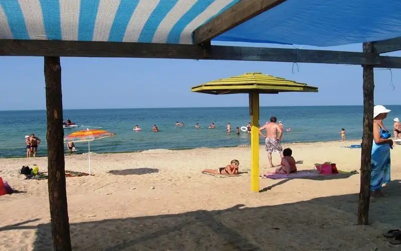 СВЕТЛАНА Г/Д
