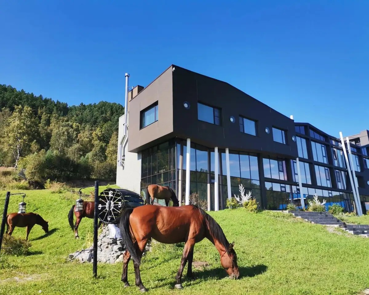 BAIKAL HILL RESIDENCE (БАЙКАЛ ХИЛЛ)