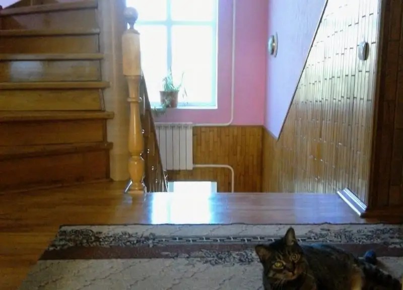 СВОИ ЛЮДИ