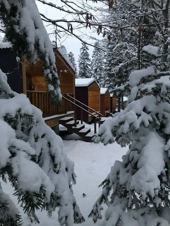 FOREST HOUSE RESORT
