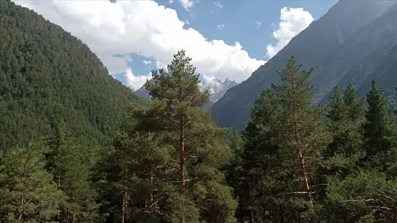 ECO VILLAGE