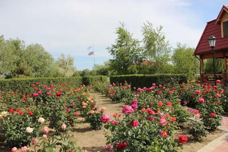 ТУРИСТИЧЕСКИЙ КОМПЛЕКС ЗЮЙД ВЕСТ