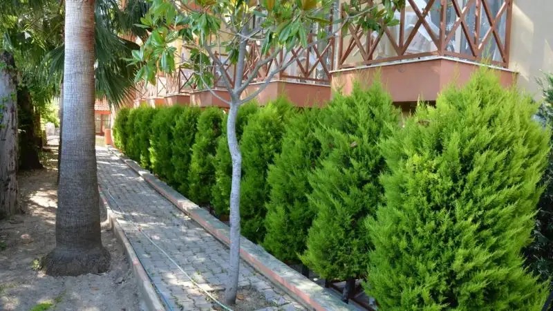 YAVUZHAN HOTEL