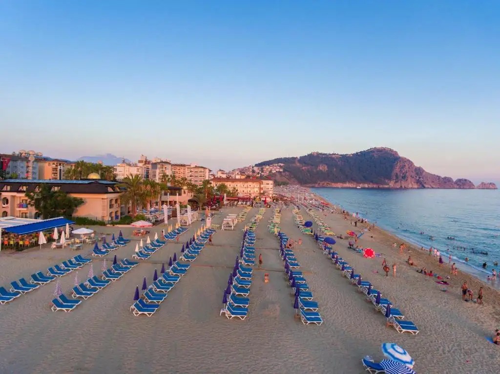 LONICERA CITY KLEOPATRA