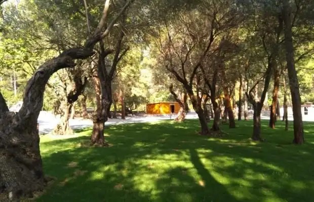 GREEN PINE BEACH & BUNGALOWS LUXURY CONCEPT