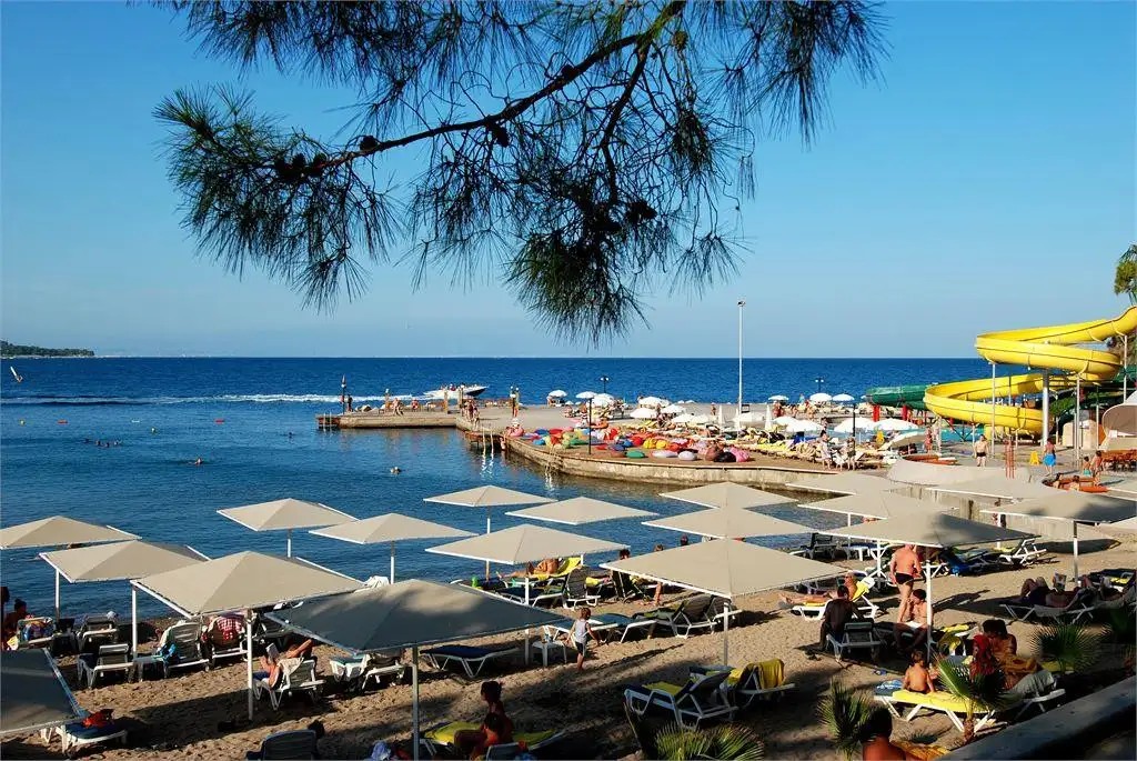 CLUB PHASELIS