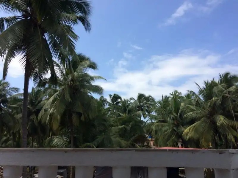 WHITE HOUSE BEACH APARTMENT