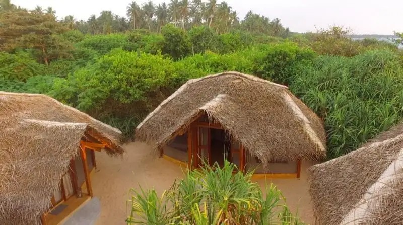 JUNGLE BEACH CAMP
