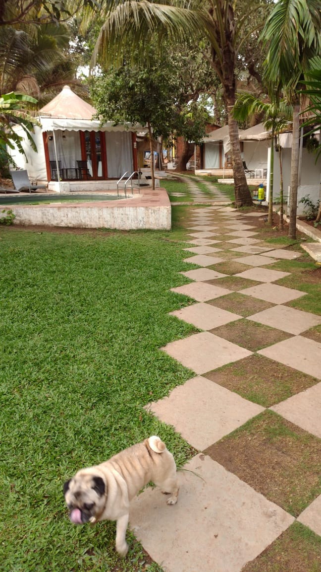 COCOS RESORT GOA
