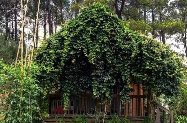 OLYMPOS VILLAGE